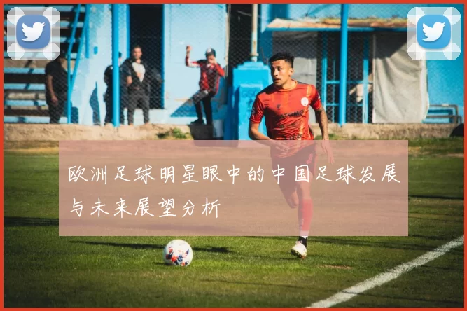 欧洲足球明星眼中的中国足球发展与未来展望分析
