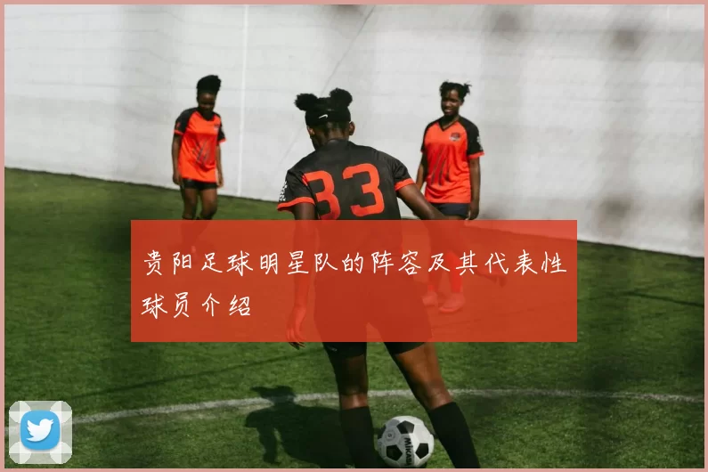 贵阳足球明星队的阵容及其代表性球员介绍