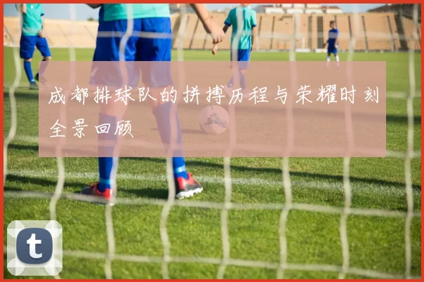 成都排球队的拼搏历程与荣耀时刻全景回顾