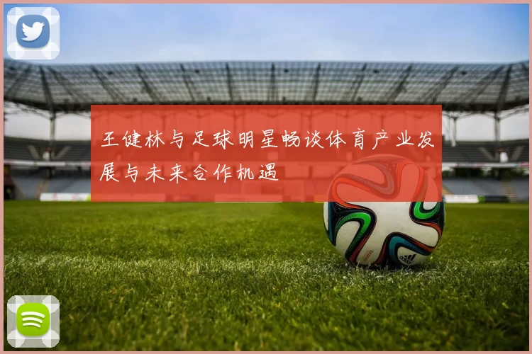 王健林与足球明星畅谈体育产业发展与未来合作机遇