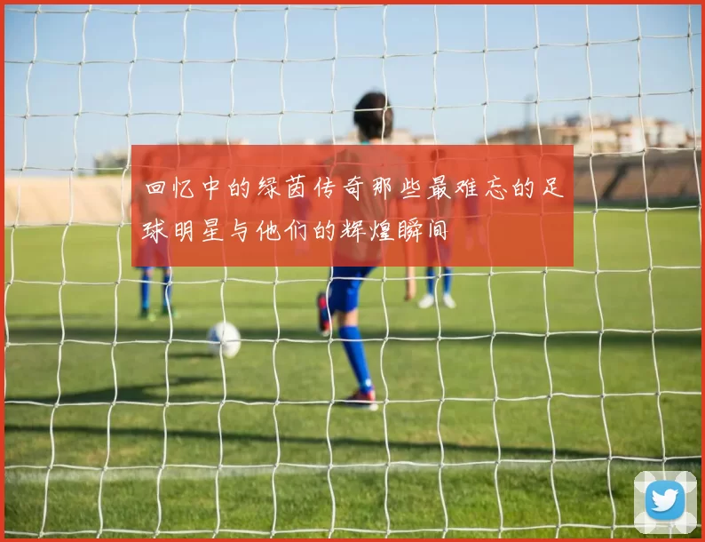 回忆中的绿茵传奇那些最难忘的足球明星与他们的辉煌瞬间