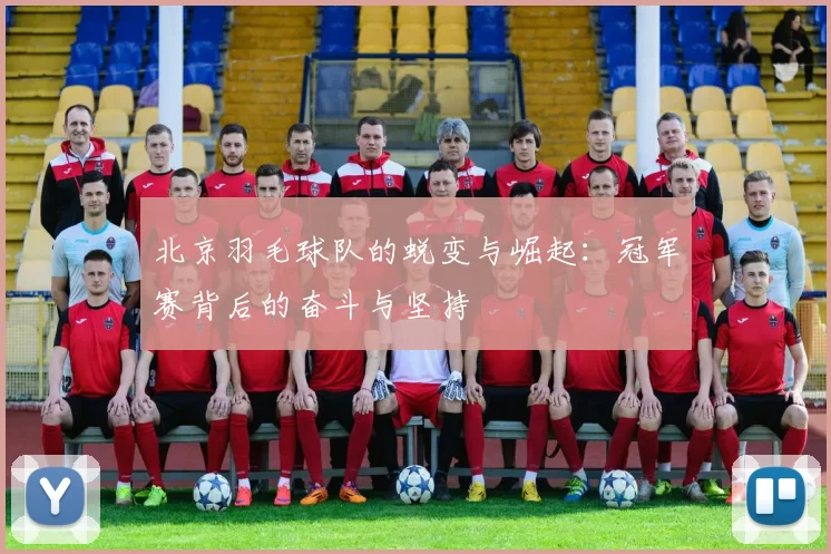 北京羽毛球队的蜕变与崛起：冠军赛背后的奋斗与坚持