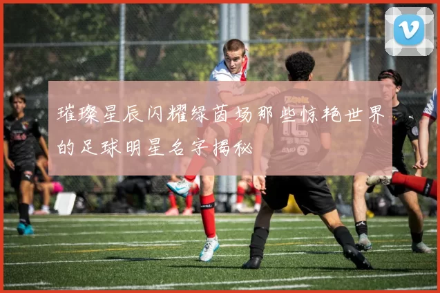 璀璨星辰闪耀绿茵场那些惊艳世界的足球明星名字揭秘