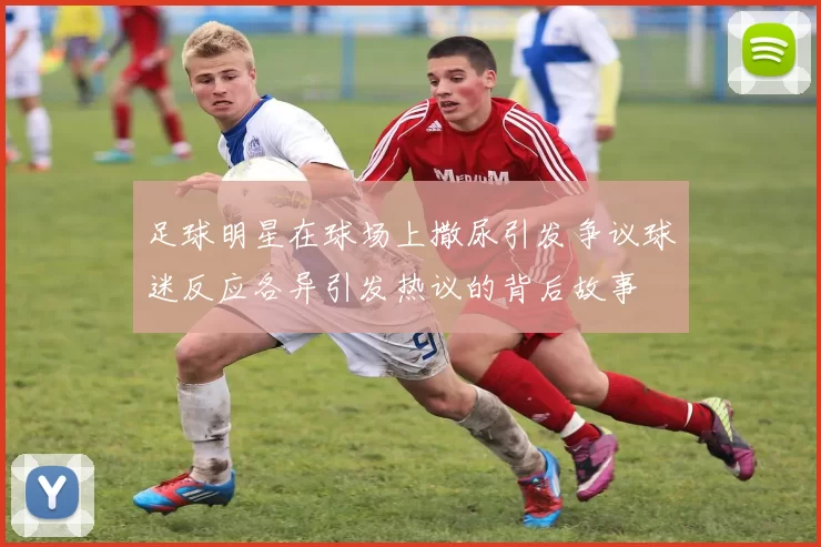 足球明星在球场上撒尿引发争议球迷反应各异引发热议的背后故事