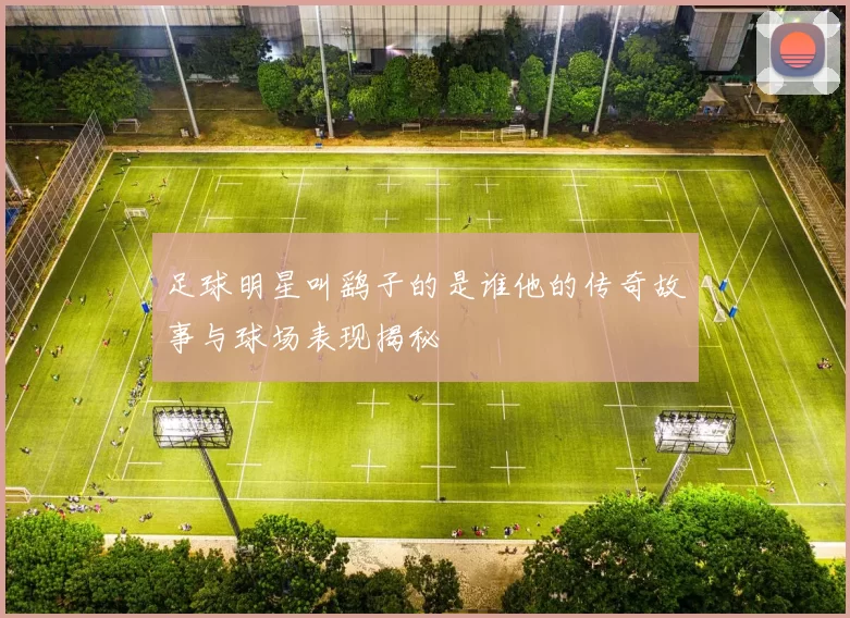 足球明星叫鹞子的是谁他的传奇故事与球场表现揭秘