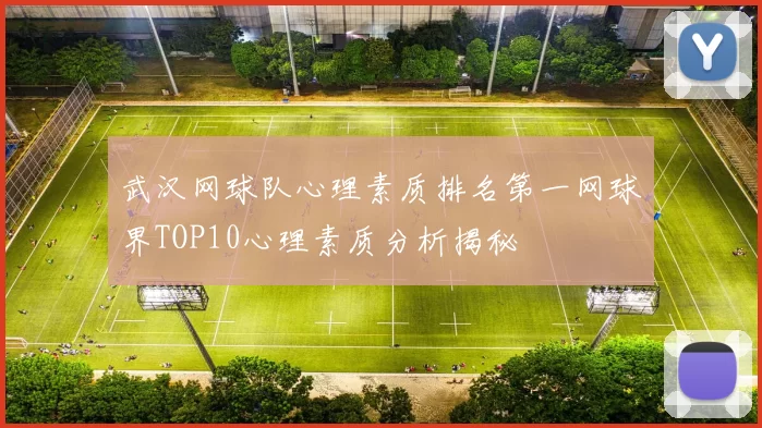 武汉网球队心理素质排名第一网球界TOP10心理素质分析揭秘