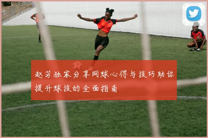 赵芳独家分享网球心得与技巧助你提升球技的全面指南