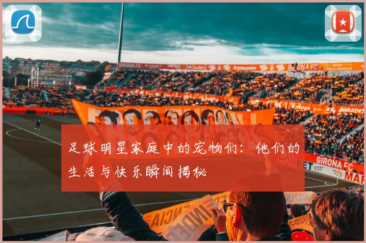 足球明星家庭中的宠物们：他们的生活与快乐瞬间揭秘