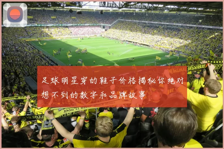 足球明星穿的鞋子价格揭秘你绝对想不到的数字和品牌故事
