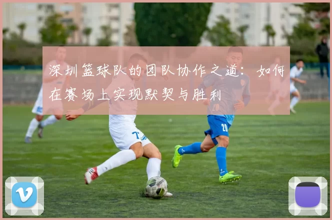 深圳篮球队的团队协作之道：如何在赛场上实现默契与胜利