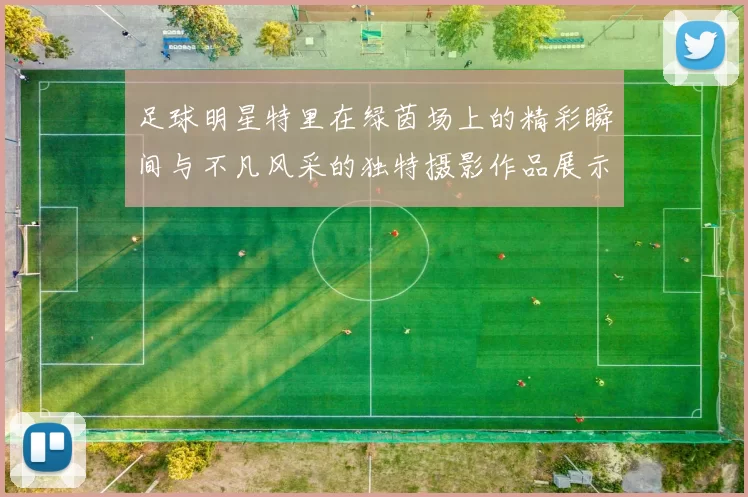 足球明星特里在绿茵场上的精彩瞬间与不凡风采的独特摄影作品展示